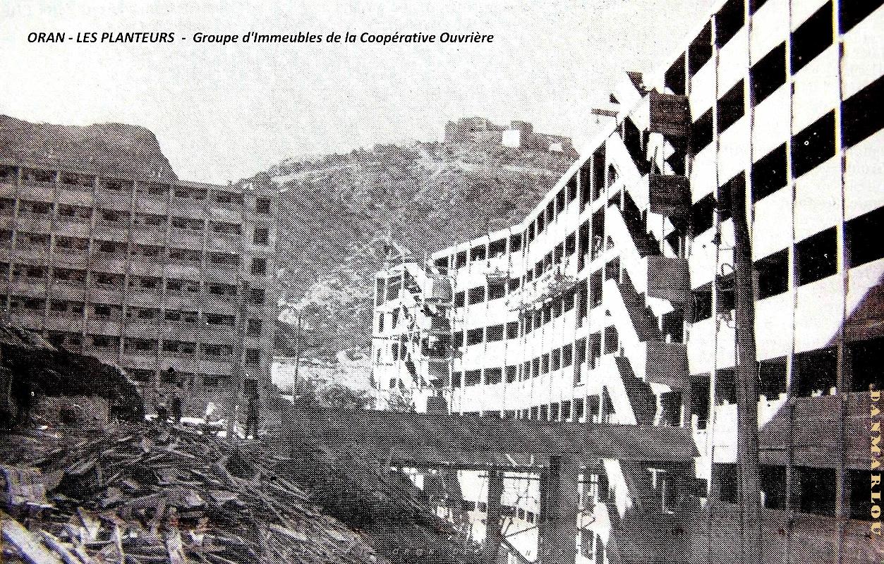 Oran - Planteurs - Immeubles Cooperative Ouvriere.jpg